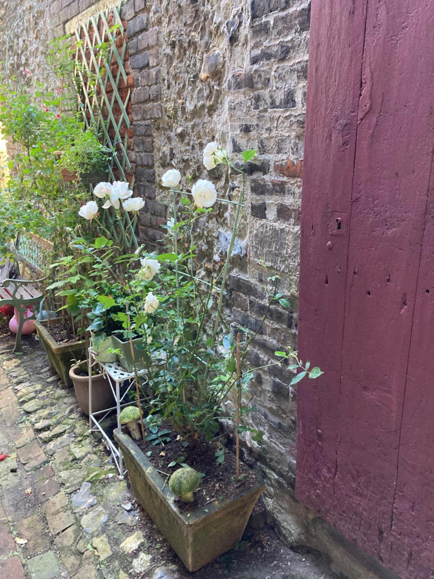 La Maison Belle Maree Honfleur Exterior photo